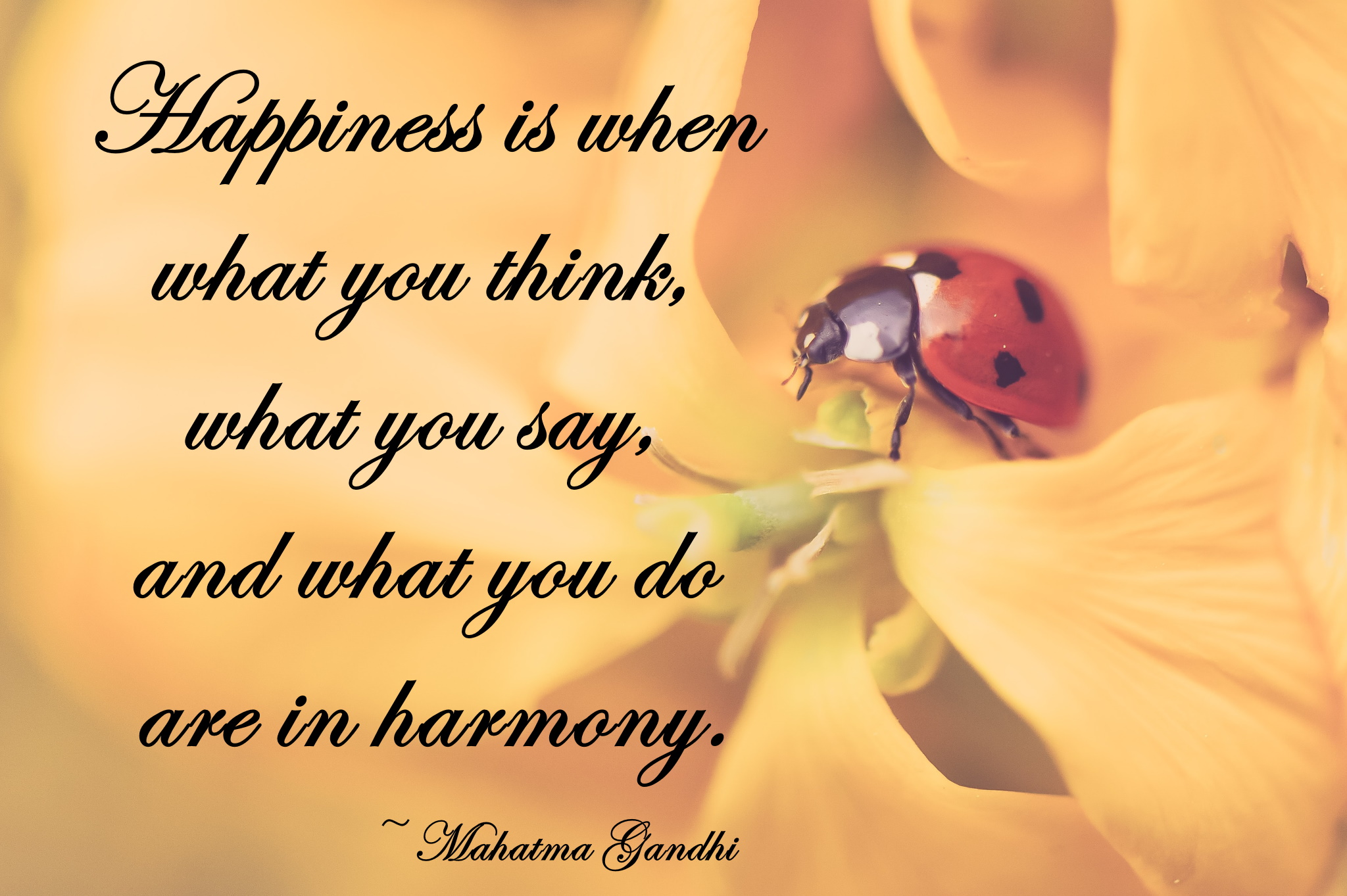 Photo by Daniel Norin on Unsplash