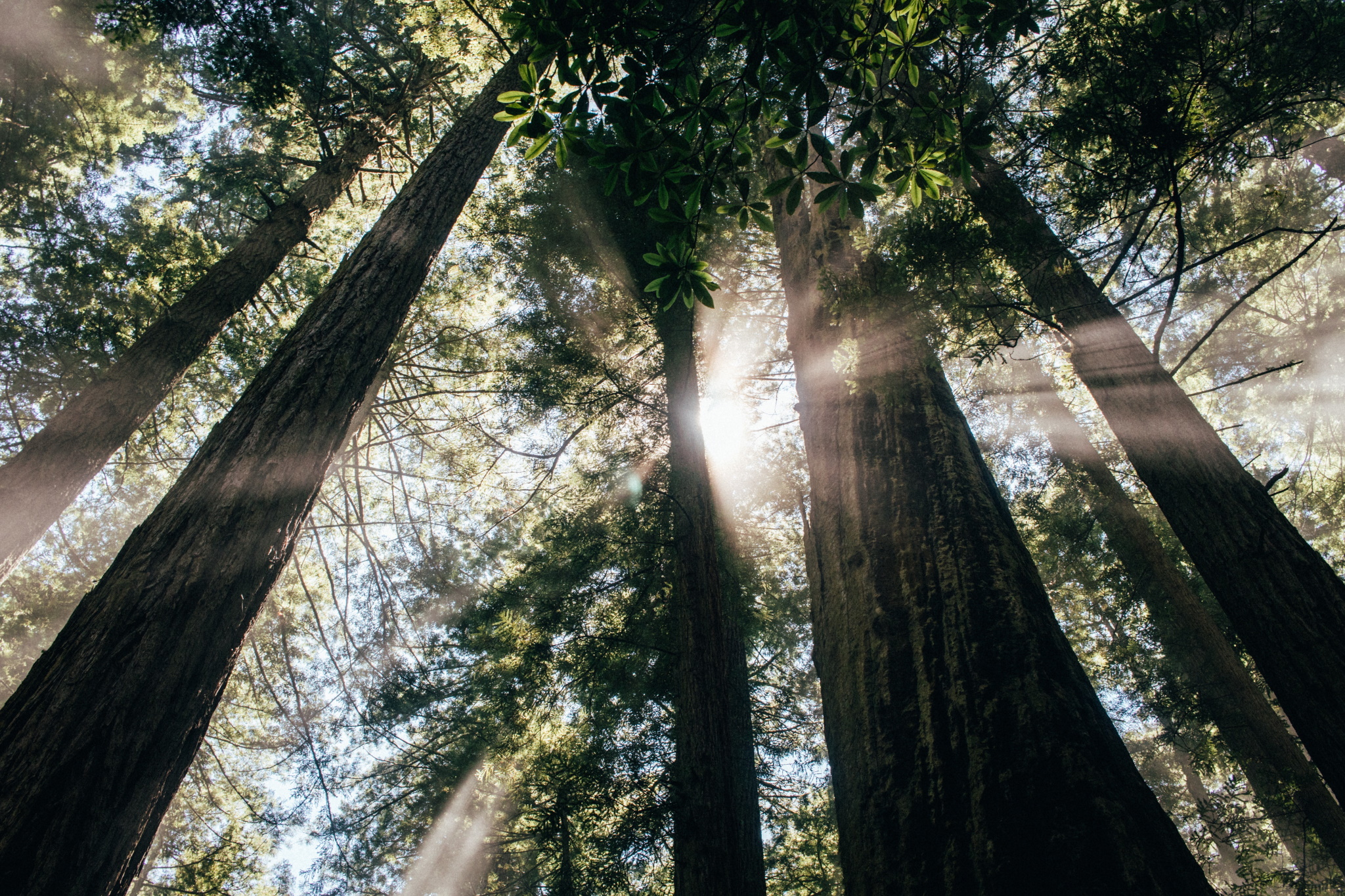 Photo by Spencer Backman on Unsplash